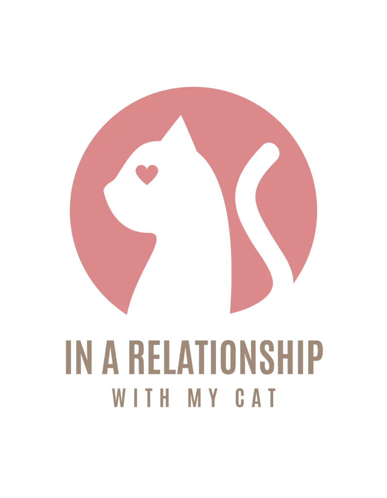 Relationship Status: Cat (small, black)