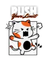 Push It Kitty!