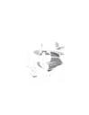 The Fedora Feline