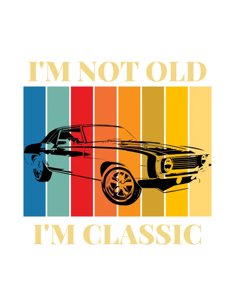 Retro Sunset Car Tee (small, black)